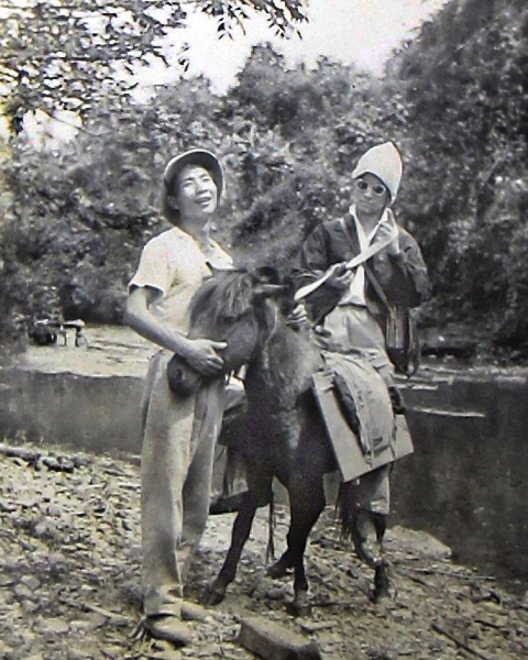 Two men with a donkey in the Vietnamese countryside.